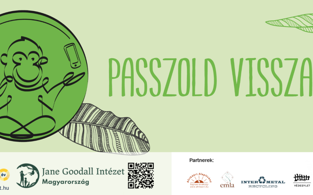 „Passzold vissza, Tesó!” – A 2025-ös tavaszi kampány eredményei