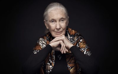 Jane Goodall (1934-2025)