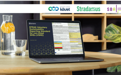 VSME-tematikus képzés